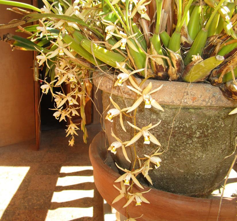 Meva Guesthouse อันตานานารีโว ภายนอก รูปภาพ